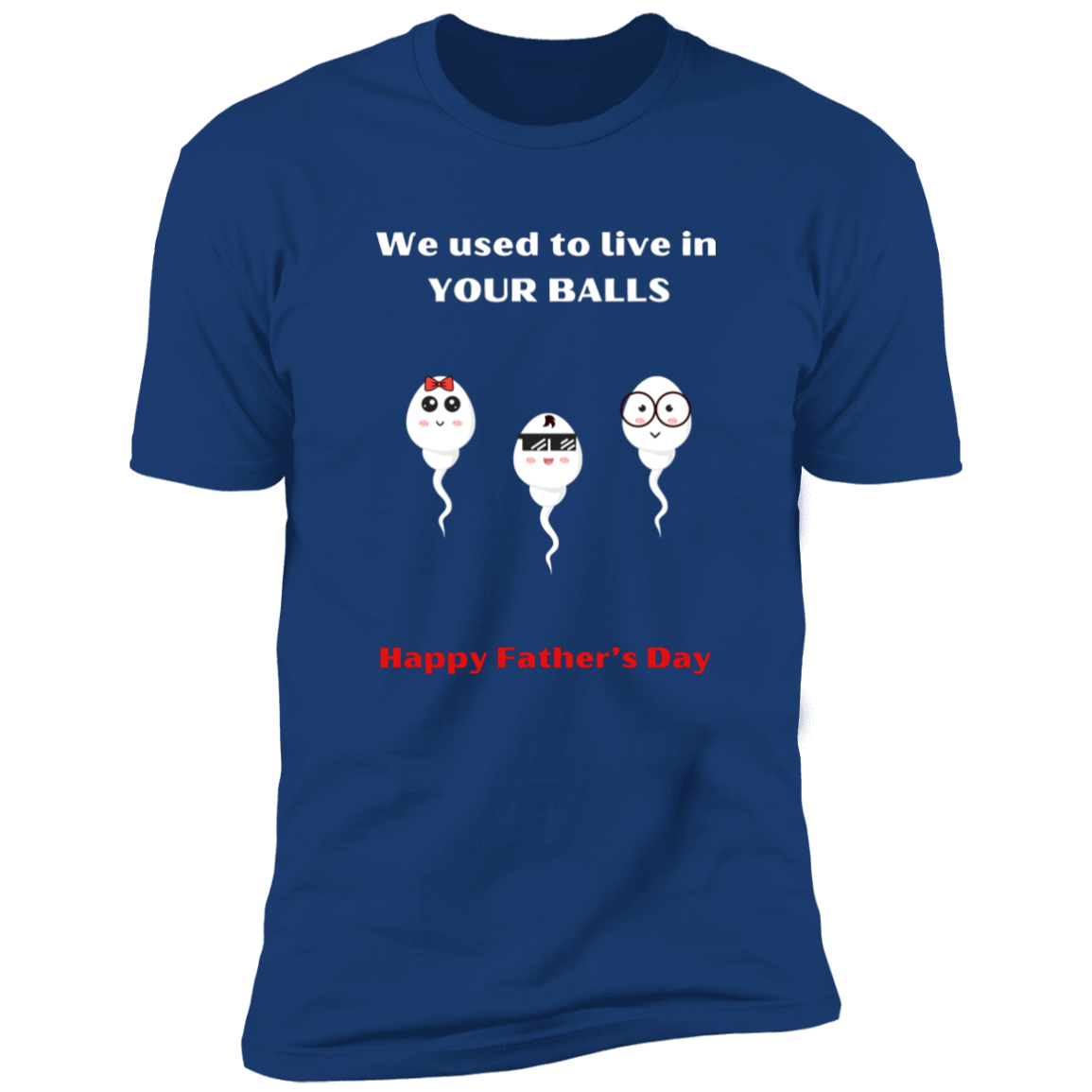 Funny Father's day Gift - Tshirt