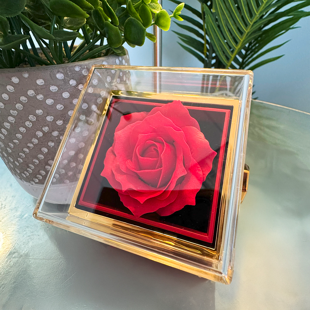Apology Gift for her - I regret my hurtful actions - Loveknot necklace with Rotating Rose Gift Box