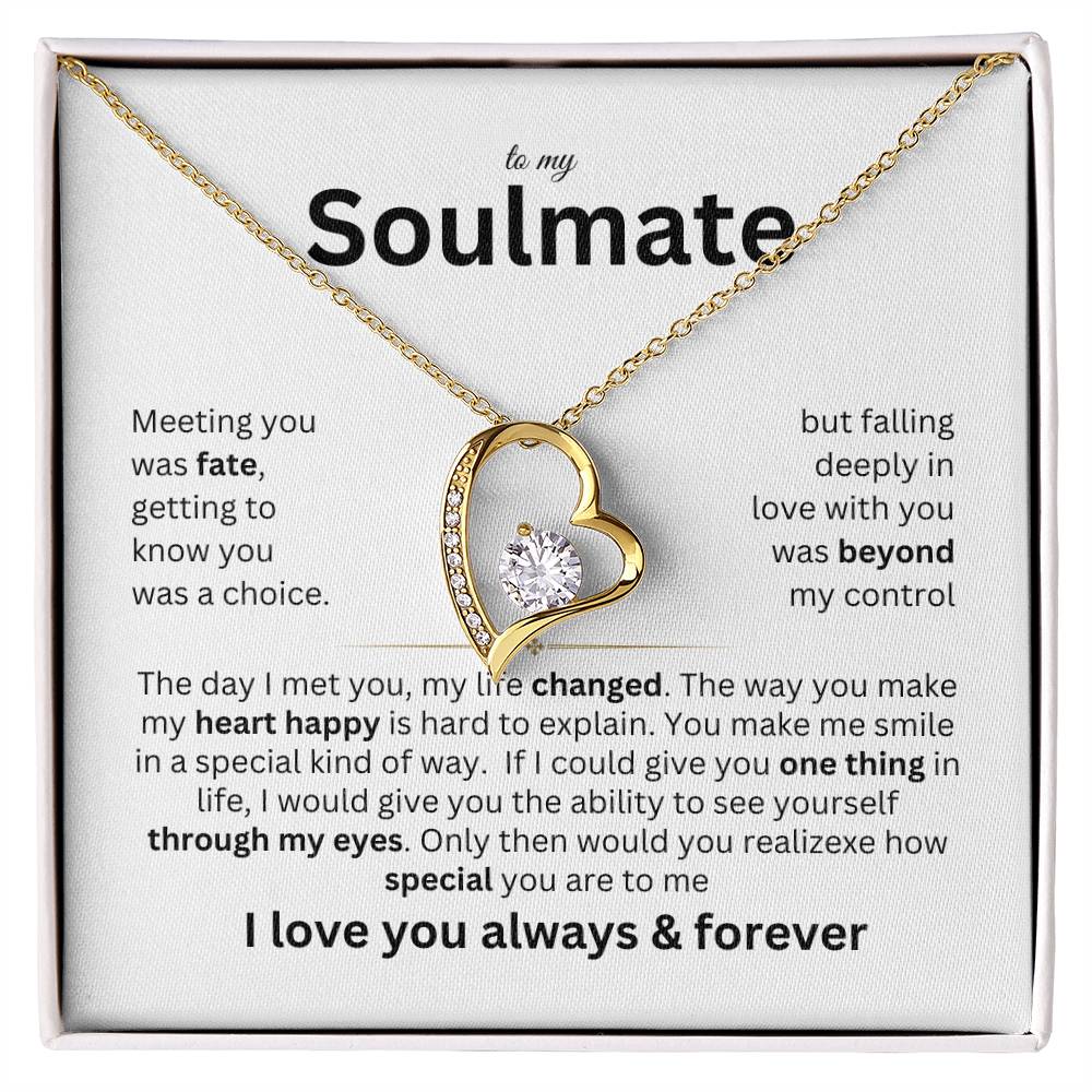 To my Soulmate - Meeting you was fate - Forever love necklace v2