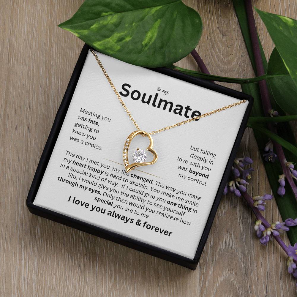 To my Soulmate - Meeting you was fate - Forever love necklace v2