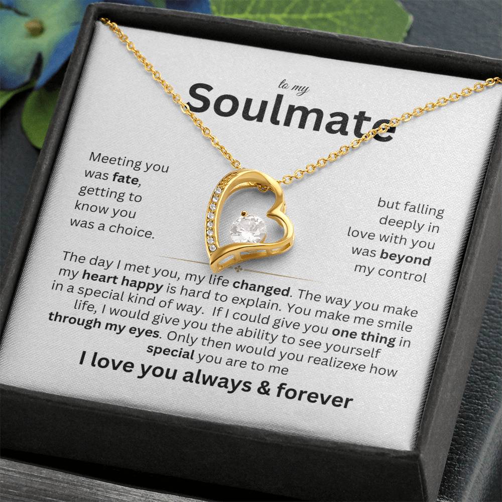 To my Soulmate - Meeting you was fate - Forever love necklace v2