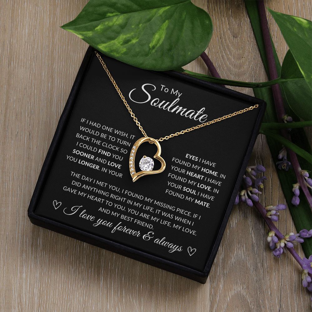 To my Soulmate | Found my mate | Forever love Necklace